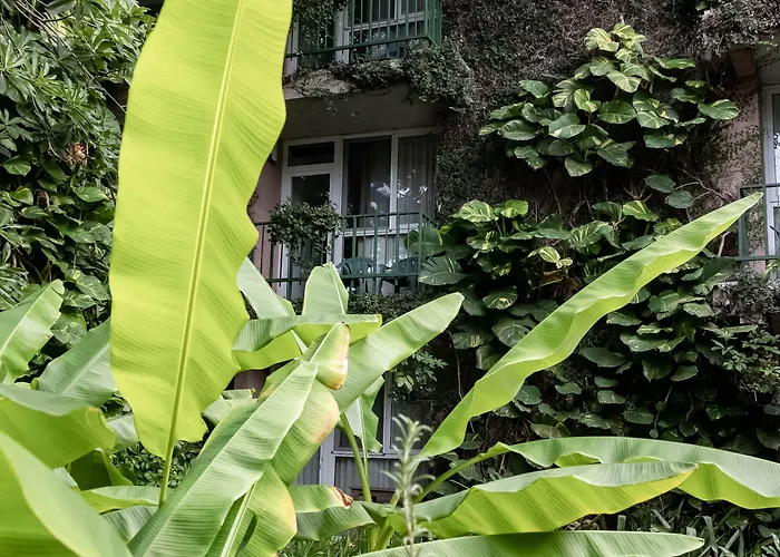Novo Hotel & Suite